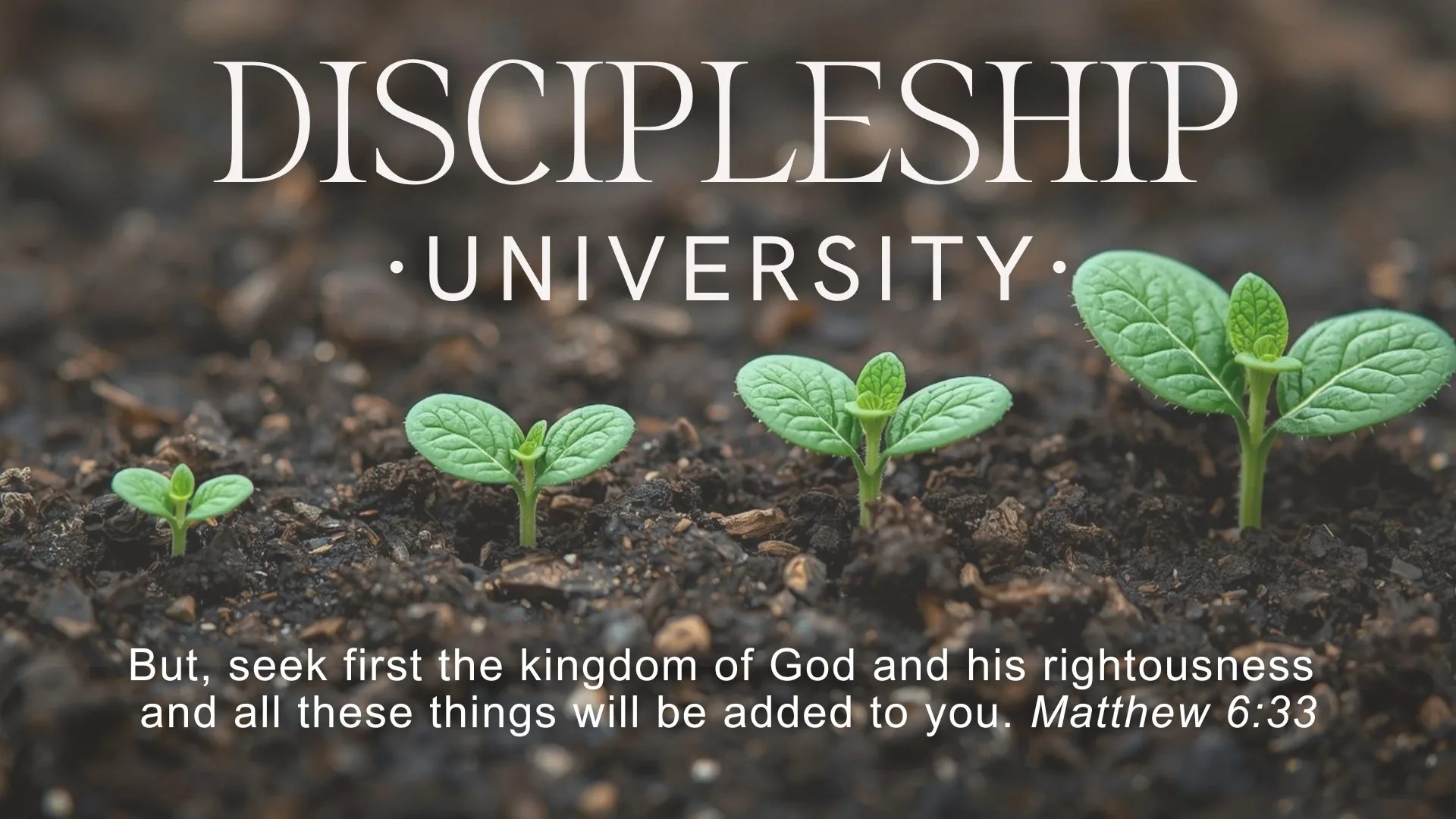 Discipleship University: seek first the kingdom of God