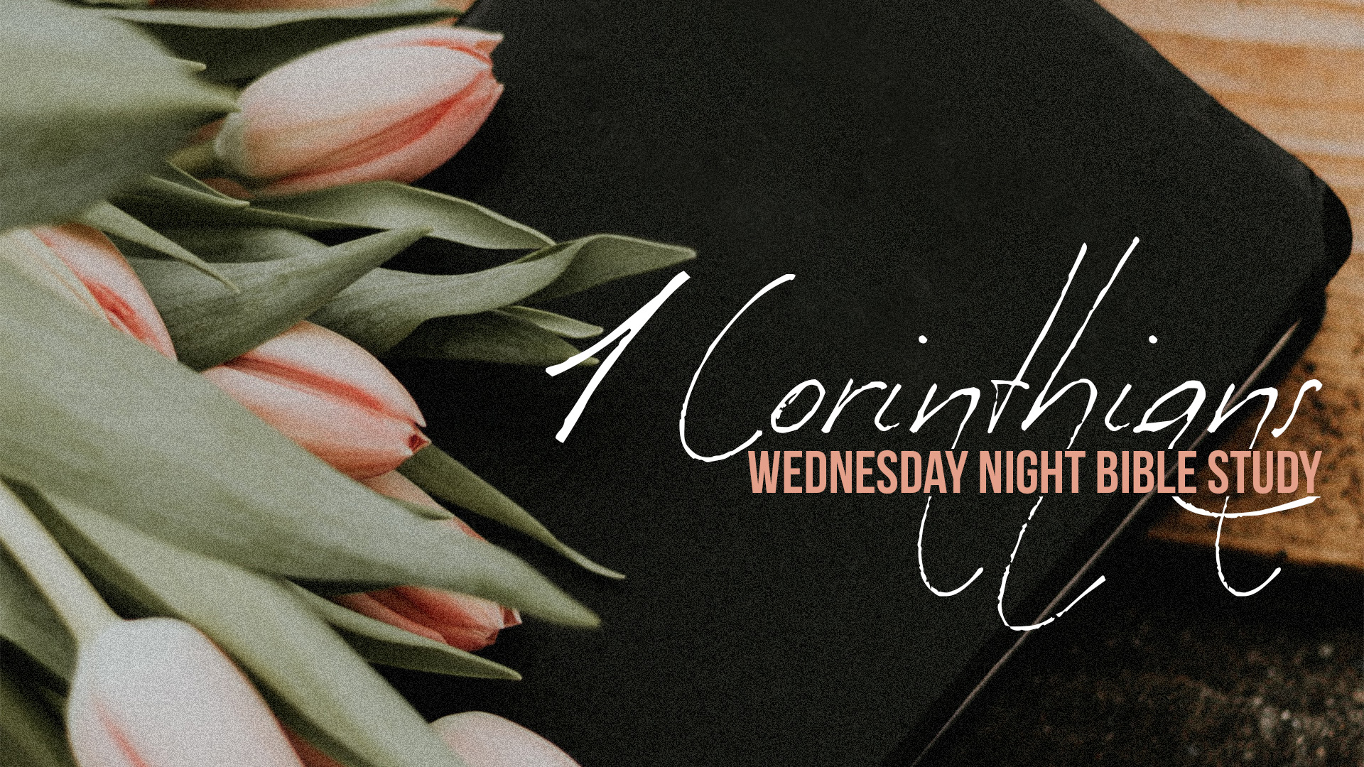 1 Corinthians 15, Part 1 | Wednesday Study