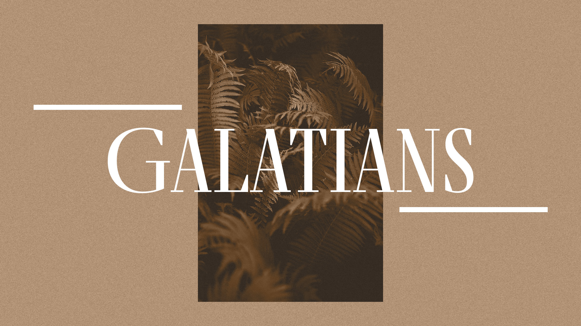 Wednesday Study- Galatians 3: 6+